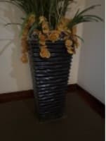 Pot plant